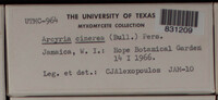 Image Associated With the Occurence